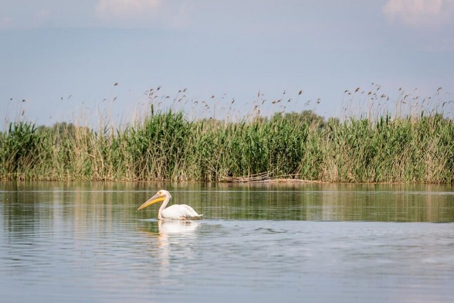 Danube Delta - 2-Day Tour from Bucharest - Who should book this Danube Delta tour, and who should pass