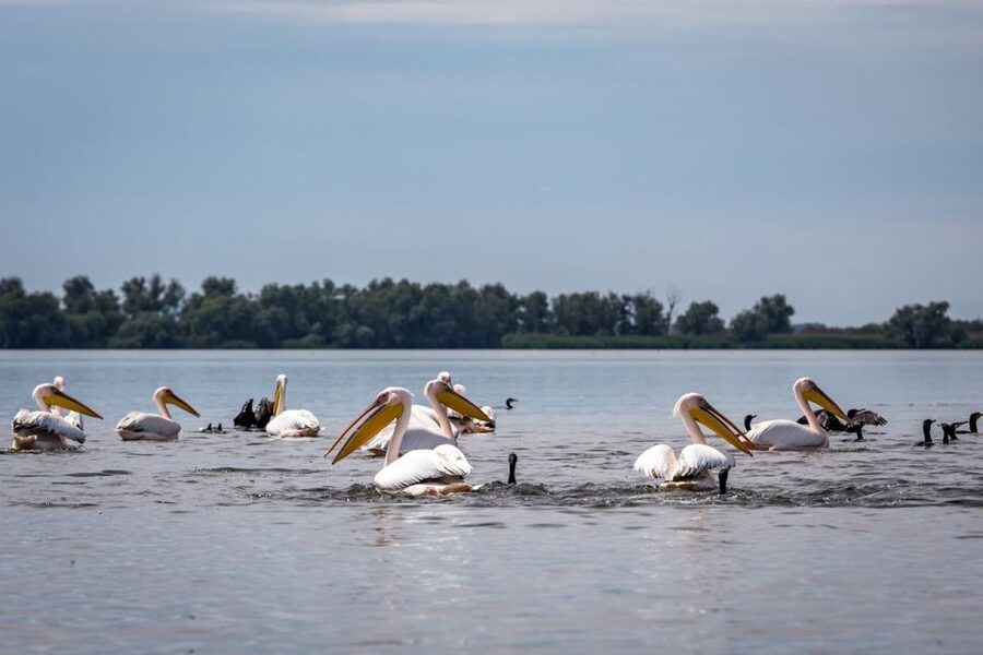Danube Delta - 2-Day Tour from Bucharest - Constanta: the oldest Romanian town stop that adds context