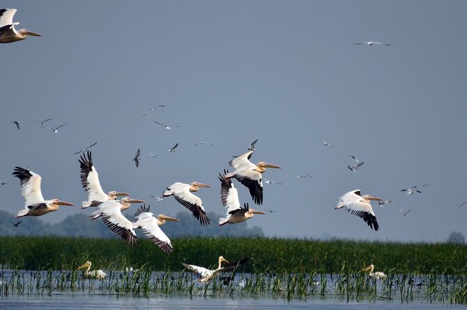 Danube Delta and Black See - 2 Days Private Tour from Bucharest - Who this 2-day private tour fits best