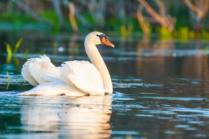 Danube Delta and Black See - 2 Days Private Tour from Bucharest - Should you book the Danube Delta and Black Sea 2-day private tour?