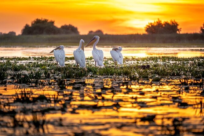 Danube Delta and Black See - 2 Days Private Tour from Bucharest - FAQ