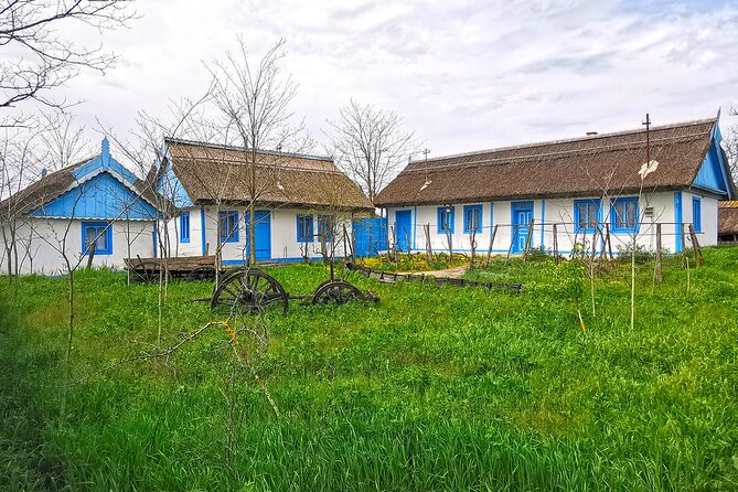 Danube Delta PRIVATE boat trip to Letea Forest (guided tour) - Boat time on the Danube Delta channels: what you should expect