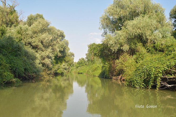 Danube Delta PRIVATE boat trip to Mila23 Village (guided tour) - Key Things I’d Prioritize