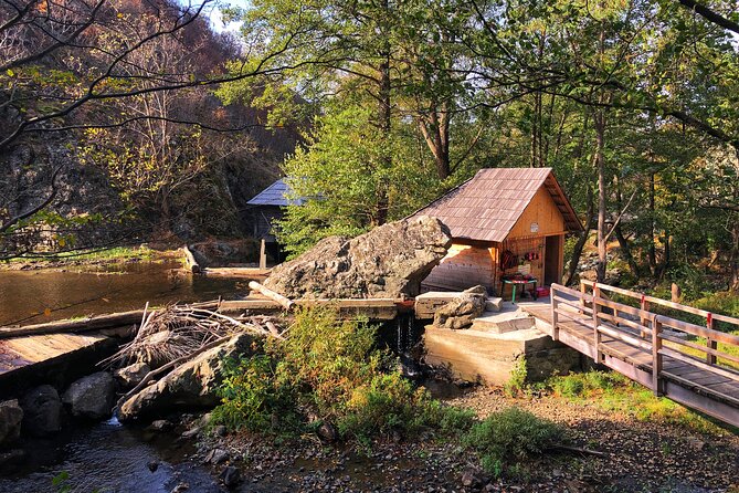 Danube Gorge & Banat Waterfalls - Why this Banat day trip works (even when your schedule is tight)