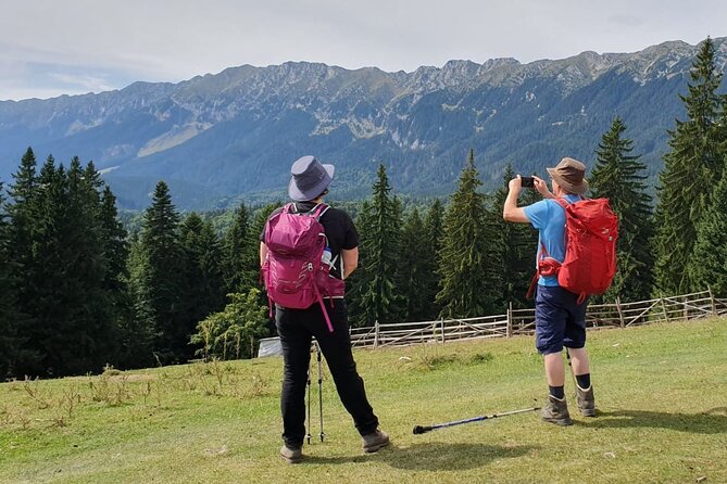 Day Hike in Carpathian Mountains for all levels in five areas - Price and Value: Why About $102 Can Make Sense Here