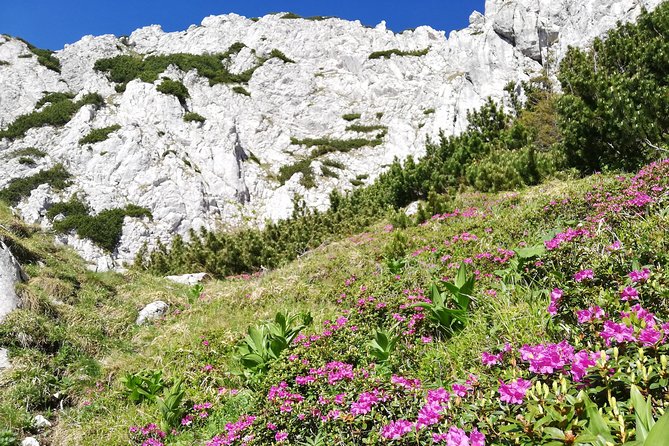 Day Hike PRIVATE - Piatra Craiului National Park - Your Private Guide: Flexible Route, Real Explanations, Less Waiting