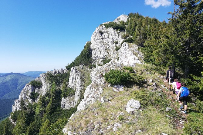 Day Hike PRIVATE - Piatra Craiului National Park - Brașov to the Trailhead: The Included Transfer Makes This Easy