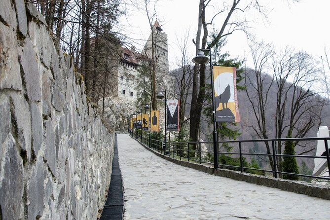 Day Trip Bear Sanctuary, Bran Castle, Rasnov Fortress from Brasov - Pickup, Alin’s style, and the comfort details that matter