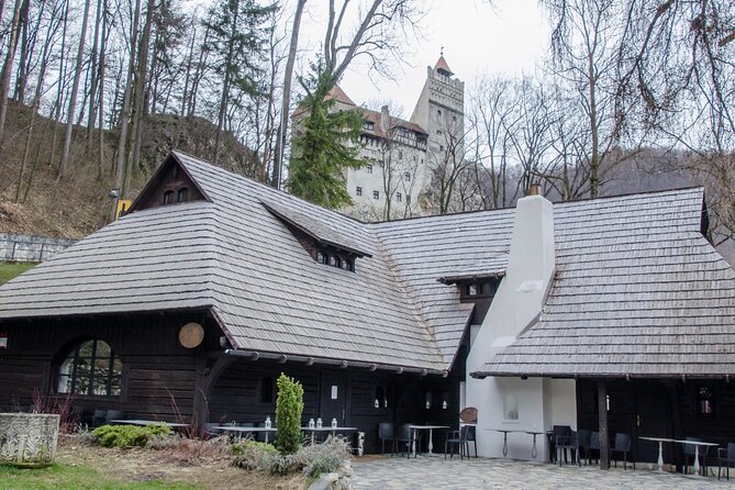 Day Trip Bear Sanctuary, Bran Castle, Rasnov Fortress from Brasov - Stop 1: LiBEARty Bear Sanctuary Zarnesti and why 2 hours is the right amount