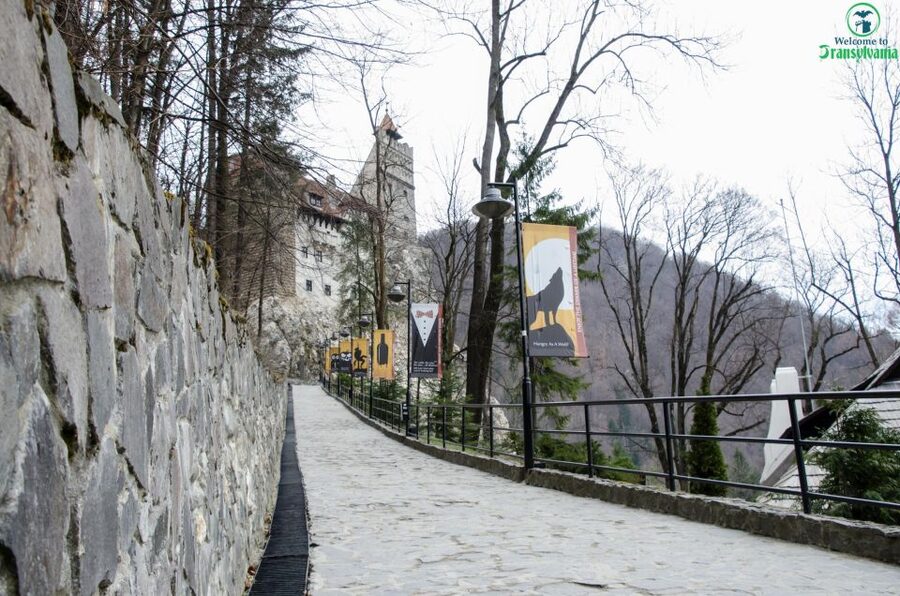 Day trip Bran Castle, Rasnov Fortress and Bear Sanctuary - The Best Part of This Tour: Three Big Contrasts in One Day