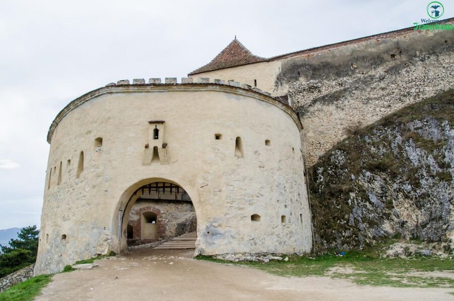 Day trip Bran Castle, Rasnov Fortress and Bear Sanctuary - The Type of Traveler This Tour Fits Best