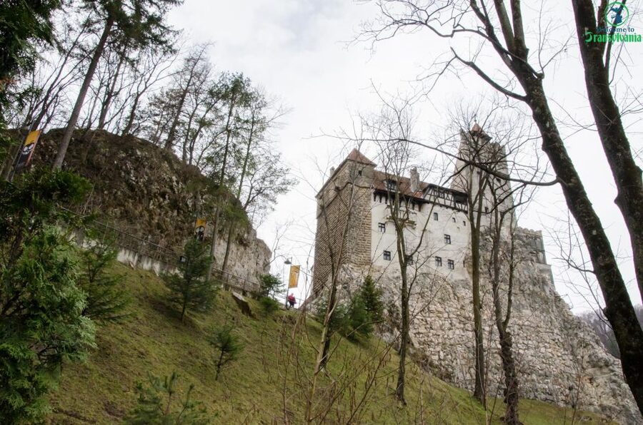Day trip Bran Castle, Rasnov Fortress and Bear Sanctuary - Pickup From Brașov, Then Straight Into the Drive