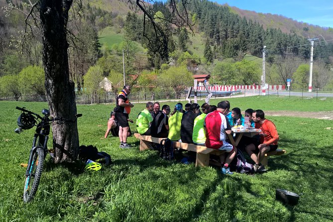 Day trip from Brasov: Bison reserve & traditional lunch - The practicalities that matter on an 8-hour day