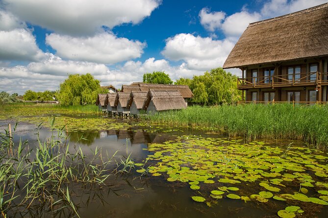 Day Trip from Bucharest to Danube Delta - Meeting point and how the day flows from downtown