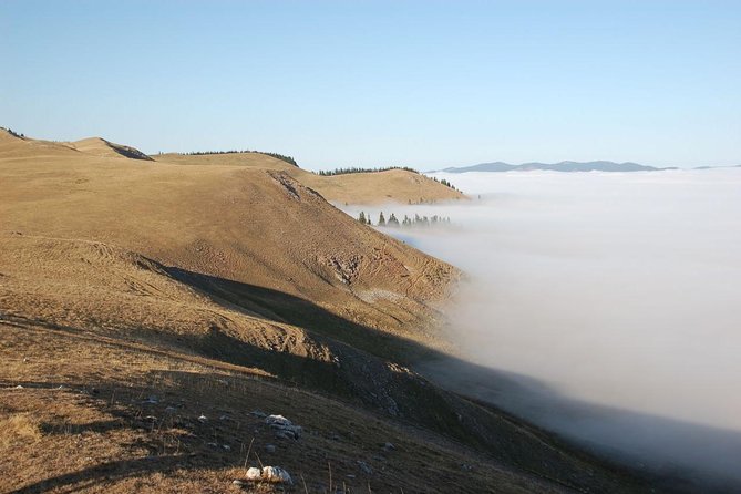 Day trip on Quad ATV - Transylvanian outdoor adventure - The 8:30 am Start at Păltiniș-Ciuc: Simple Logistics, No Big Mysteries