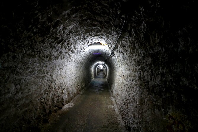 Day Trip to Turda Salt Mine and Corvin Castle from Timisoara - Corvin Castle stop: why Castelul Corvinilor takes focus