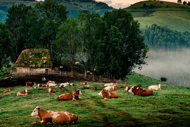 Discover Apuseni Mountains - Scarita Summit,Sipote Waterfall and Dumesti Village - Highlights You Should Know Before You Go