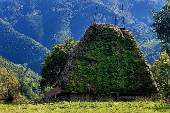 Discover Apuseni Mountains - Scarita Summit,Sipote Waterfall and Dumesti Village - Morning Pickup From Cluj-Napoca to Posaga de Sus