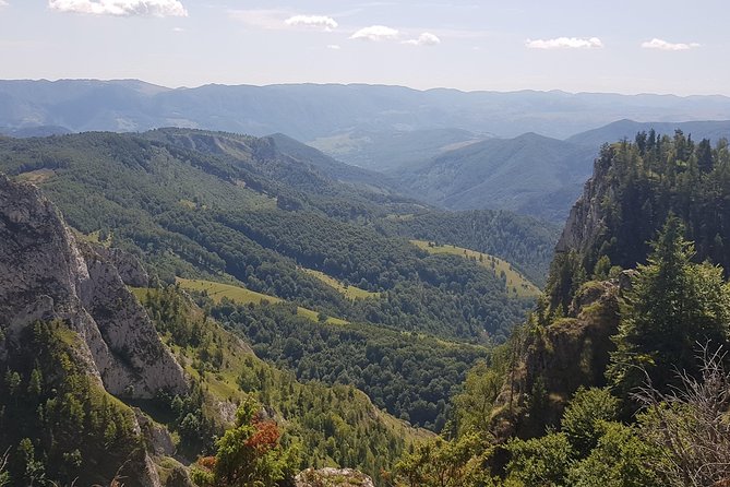 Discover Apuseni Mountains - Scarita Summit,Sipote Waterfall and Dumesti Village - Scarita-Belioara Botanical Reserve: Wildflowers and Fungi on Purpose
