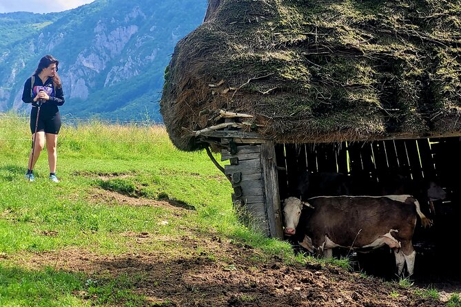 Discover Apuseni Mountains - Scarita Summit,Sipote Waterfall and Dumesti Village - The Return Plan: Sipote Waterfall and Dumesti Village (If Time Allows)