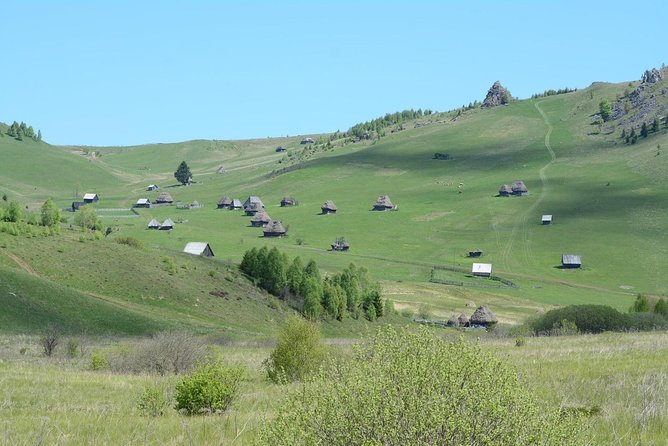 Discover Apuseni Mountains - Scarita Summit,Sipote Waterfall and Dumesti Village - Group Size, Pace, and Why “Private-Feeling” Matters Here