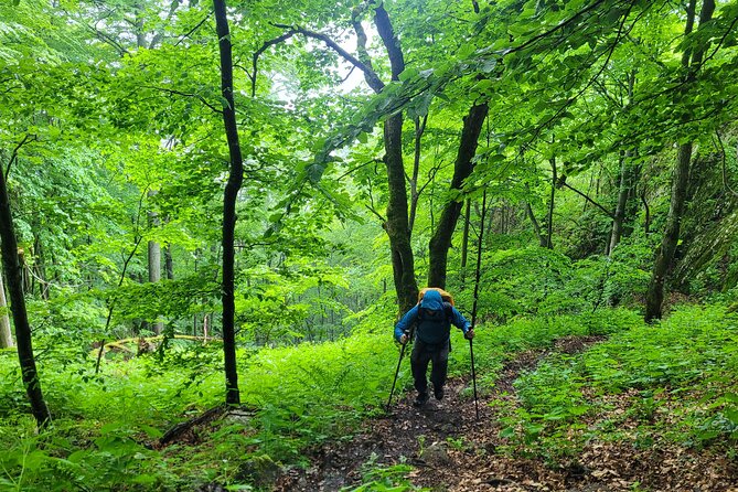 Discover Apuseni Mountains - Scarita Summit,Sipote Waterfall and Dumesti Village - What’s Included (and What You Need to Bring)
