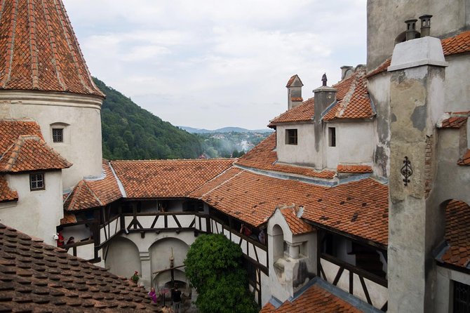 Dracula and Peles Castles Premium Tour with Hotel pick-up - Time in Bucharest and the End of a Long Day