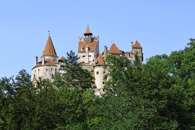 Dracula Castle, Peles Castle and Rasnov Fortress from Brasov - Customizing your time at each castle without ruining the flow