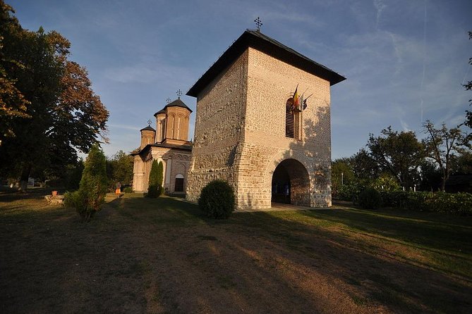 Dracula's Tomb and Mogosoaia Palace, Private Tour from Bucharest - Mogosoaia Palace: Brancoveanu’s Brancovenesc Style in Plain Sight