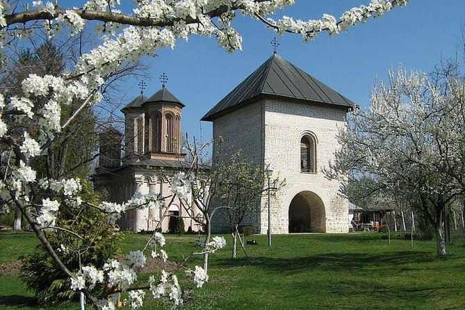Dracula's Tomb and Mogosoaia Palace, Private Tour from Bucharest - Should You Book This Private Tour from Bucharest?