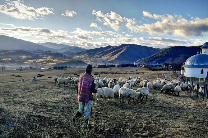 Exclusive Tour: Corvin Castle, Alba Iulia and traditional villages from Sibiu - The return drive: traditional villages near Sibiu you can actually feel