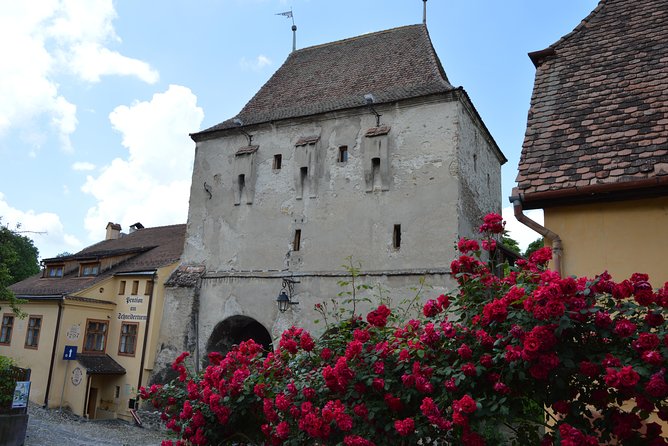 Exclusive tour: Sighisoara, Medias and Biertan tour from Sibiu - Getting picked up in Sibiu and riding in a private minivan