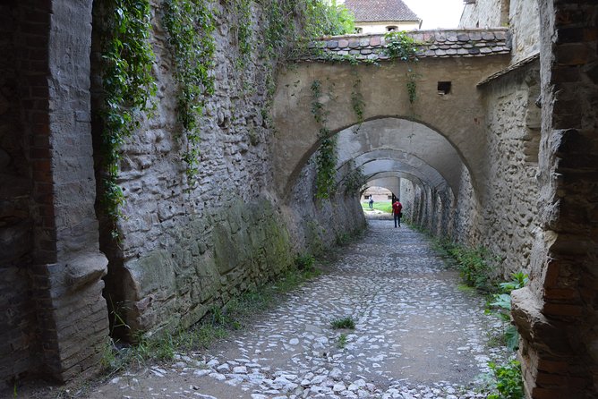 Exclusive tour: Sighisoara, Medias and Biertan tour from Sibiu - Biertan fortified church: layered walls, defensive towers, and dark details