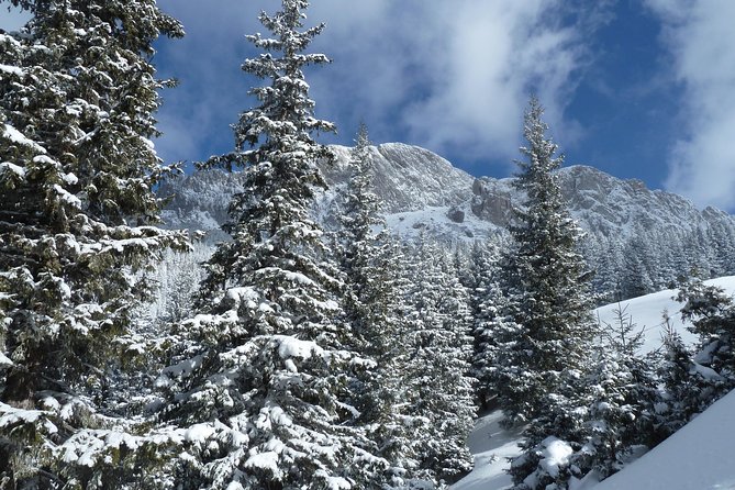 Excursión en Moeciu de Sus (recomendado para familias) con guía español nativo. - El odaie tradicional: cultura de montaña incluso sin animales