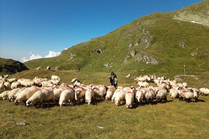 Expedition in Fagaras Mountains from Brasov (Private Tour!) - Day 2: Portita Vistei, Vistea Mare, and Romania’s top peak (Moldoveanu)