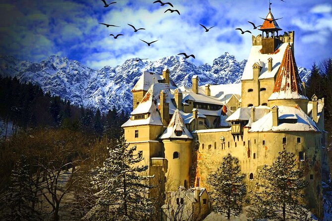 Explore Transylvania: Dracula, Peles Castle & Brasov Private Tour - Meet the Guide, Not a Script
