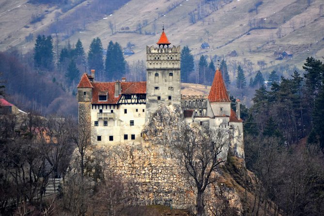 Explore Transylvania: Dracula, Peles Castle & Brasov Private Tour - Peles Castle in the Carpathians: Royal Looks, Easy Photo Wins