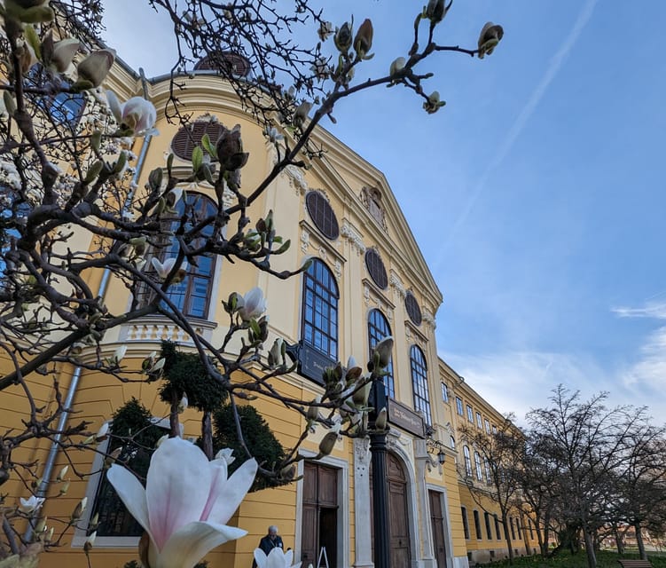 Food, Wine And Sightseeing Tour in Oradea, Romania - Key highlights worth planning for