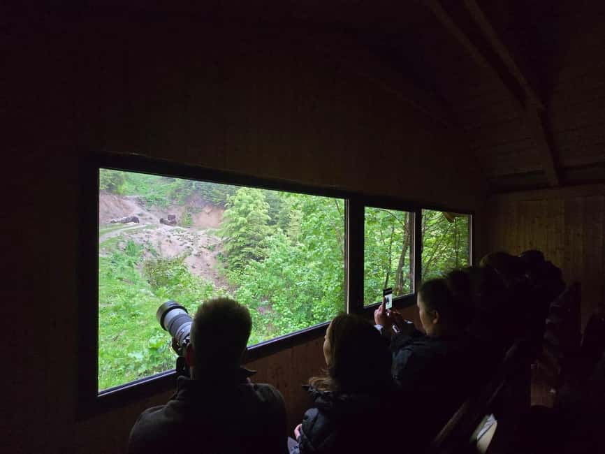 From Brasov: Bear Watching in the Wild - Photo time: getting a good seat and clean glass