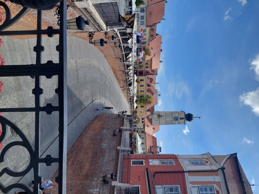 From Brasov: Corvin Castle and Sibiu (Optional Sighisoara) - Corvin Castle, the views from the Zlaști River setting