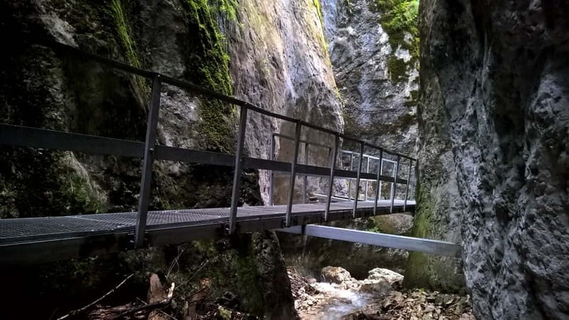 From Brasov: Day Trip to the Seven Ladders Canyon - The Seven Ladders Canyon idea, where the fun comes from