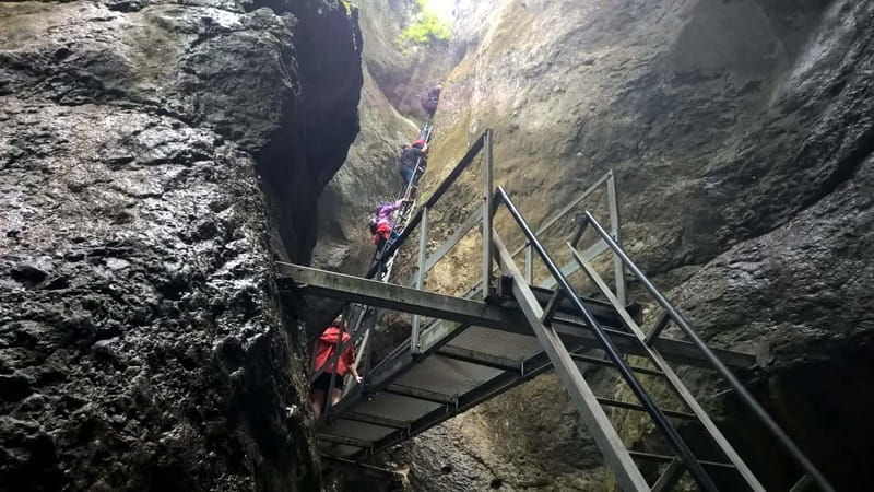 From Brasov: Day Trip to the Seven Ladders Canyon - Entering the canyon: ladders, bridges, and that narrow-water feeling