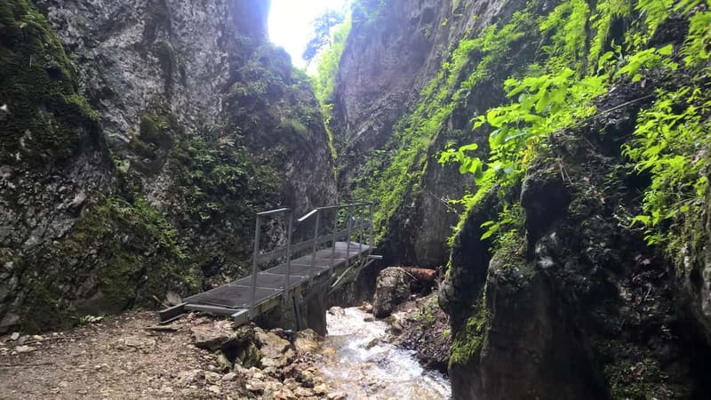 From Brasov: Day Trip to the Seven Ladders Canyon - Exiting and returning by a different forest route