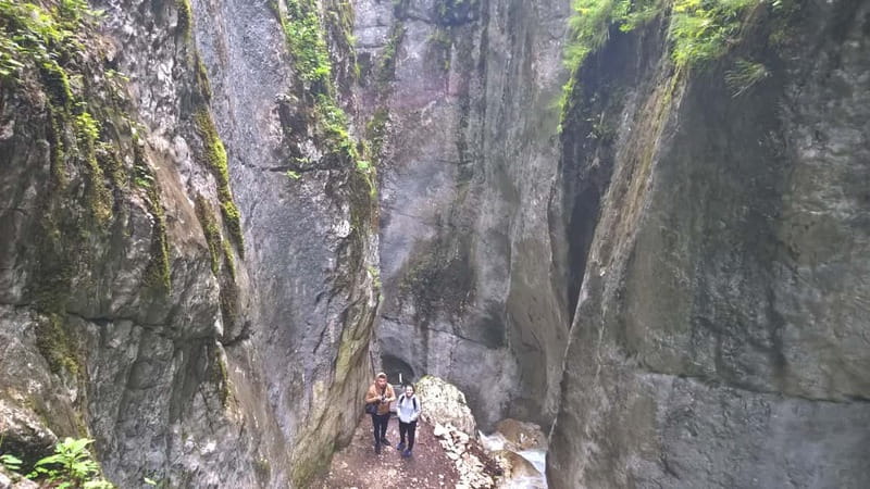 From Brasov: Day Trip to the Seven Ladders Canyon - Price and value: what $146 really buys you