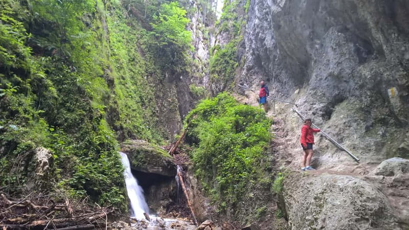 From Brasov: Day Trip to the Seven Ladders Canyon - What to pack, wear, and avoid for a smoother canyon climb