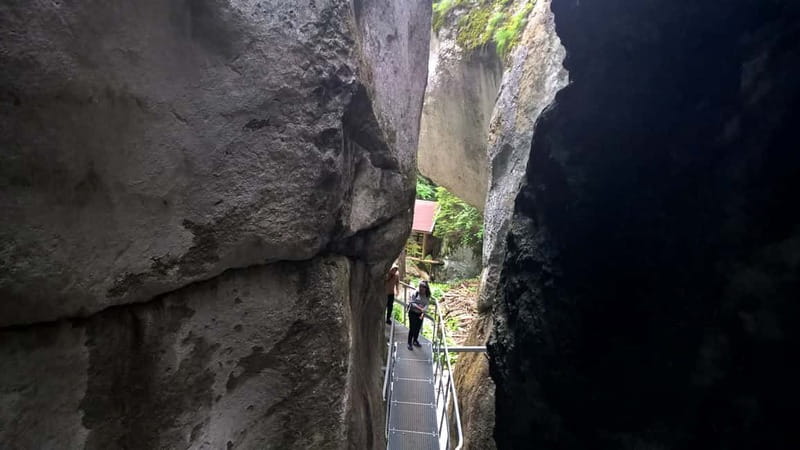 From Brasov: Day Trip to the Seven Ladders Canyon - The 1.5-hour forest hike at Piatra Mare foothills