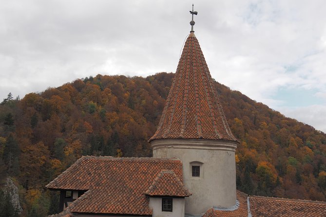 From Brasov: Discover Bran Castle and Râșnov Fortress - Getting From Brasov: Pickup Timing, Small-Group Comfort, and Walk Reality