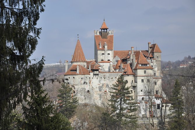 From Brasov: Discover Bran Castle and Râșnov Fortress - Bran Castle Dracula-Style: Gothic Rooms, Vlad Ties, and Crowd Strategy