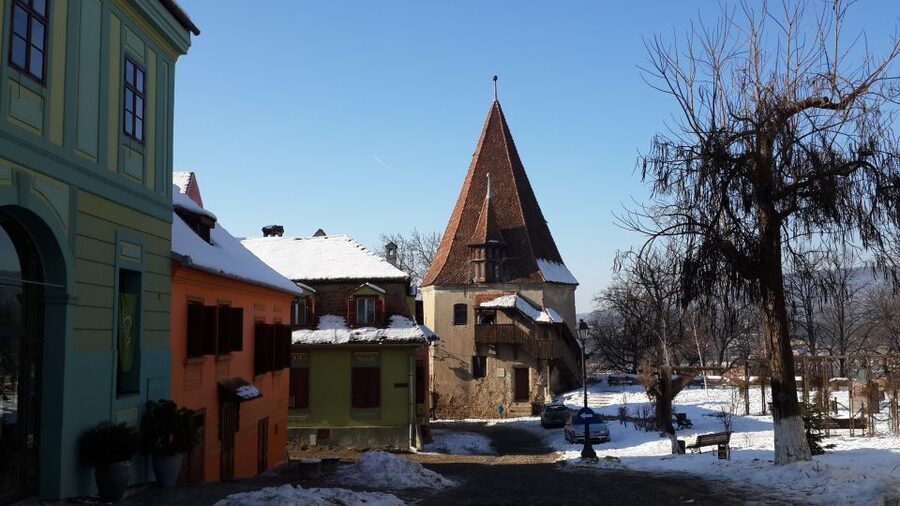 From Brasov: Guided Sighisoara and Sibiu Private Day Trip - Price and logistics: is $231 per person fair?