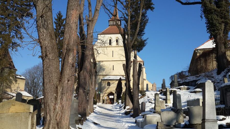 From Brasov: Guided Sighisoara and Sibiu Private Day Trip - Guide quality and pacing: why English narration helps